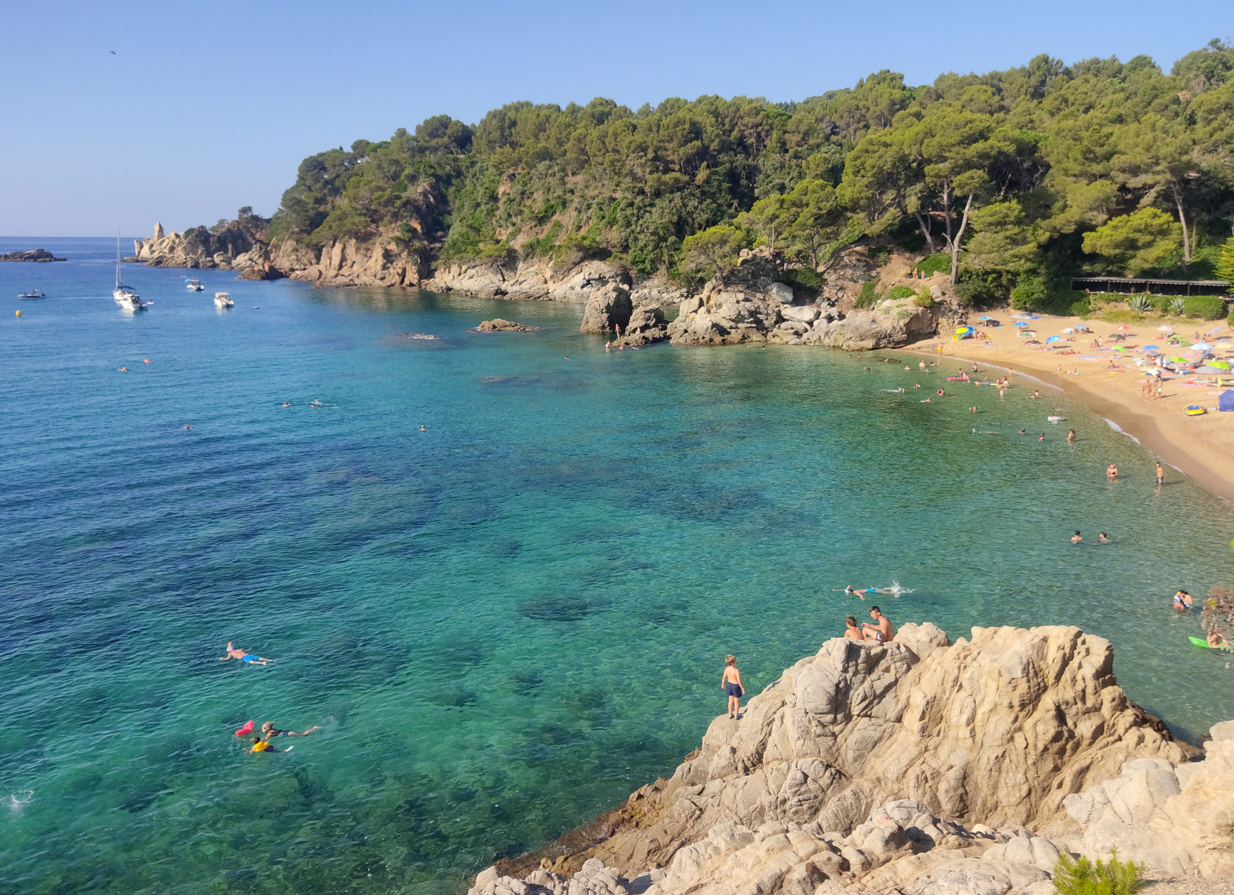 Cala Treumal wild pine-backed cove between Blanes and Lloret de Mar, Girona