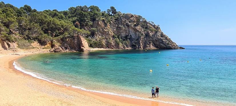 Cala Giverola cove with pine-covered cliffs near Tossa de Mar, Girona