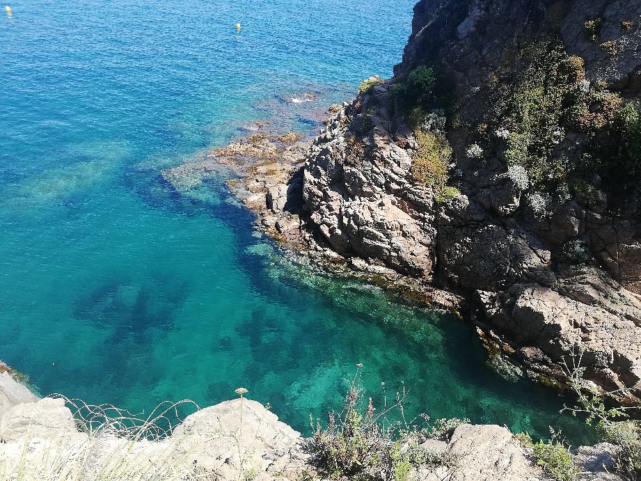 Cala Sant Francesc Blue Flag cove in Blanes, Girona