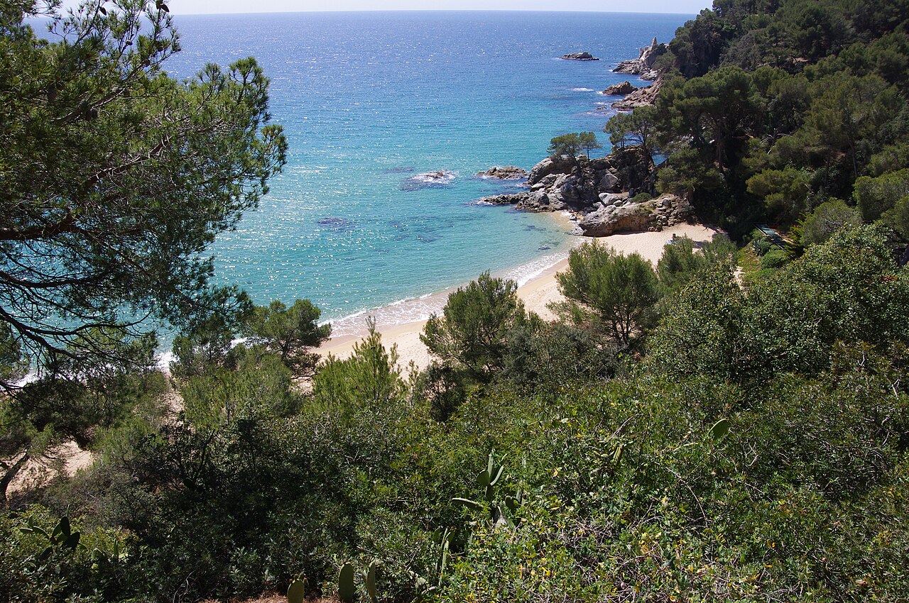 Cala Treumal, Blanes: The Complete Guide to the Steepest Cove on This Coast