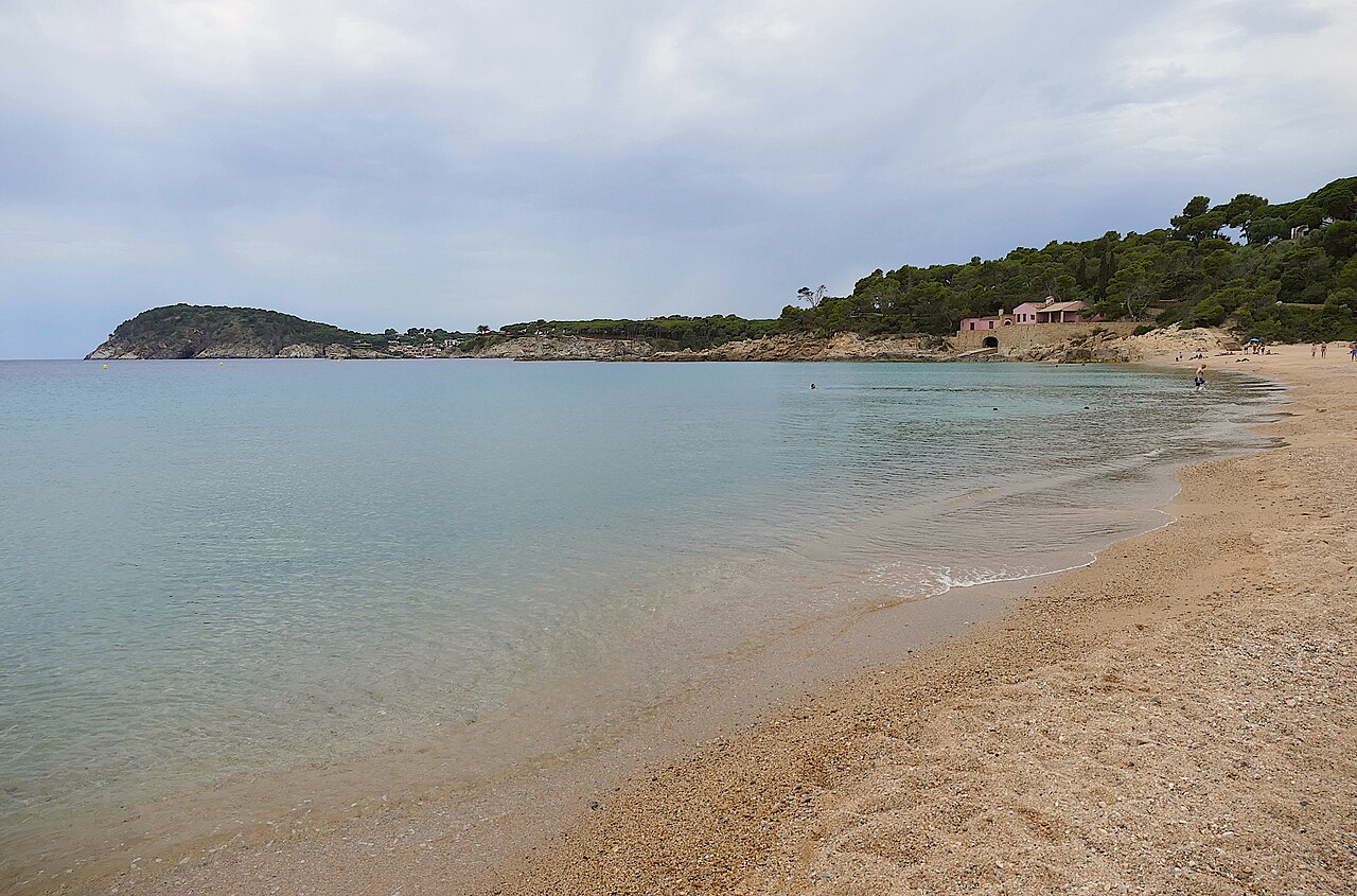 Platja de Castell in Palamós, an undeveloped beach backed by pine woods
