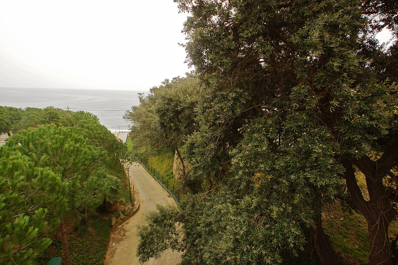 The Treumal watercourse running down towards the sea through the pine woods, Blanes